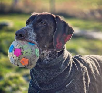 Aktivitetsboll - Mindre stress. Mera lek.