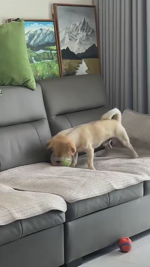 Aktivitetsboll - Mindre stress. Mera lek.